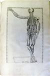 EUSTACHI, BARTOLOMMEO. Romanae archetypae tabulae anatomicae.  1783